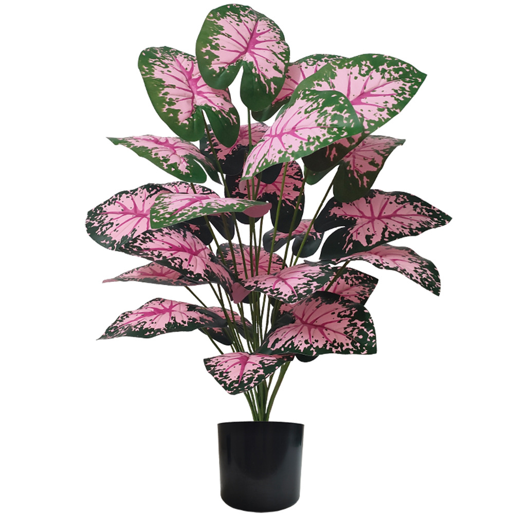 Snake Plant - Розовые листья, горшечные растения, искусственные растения,