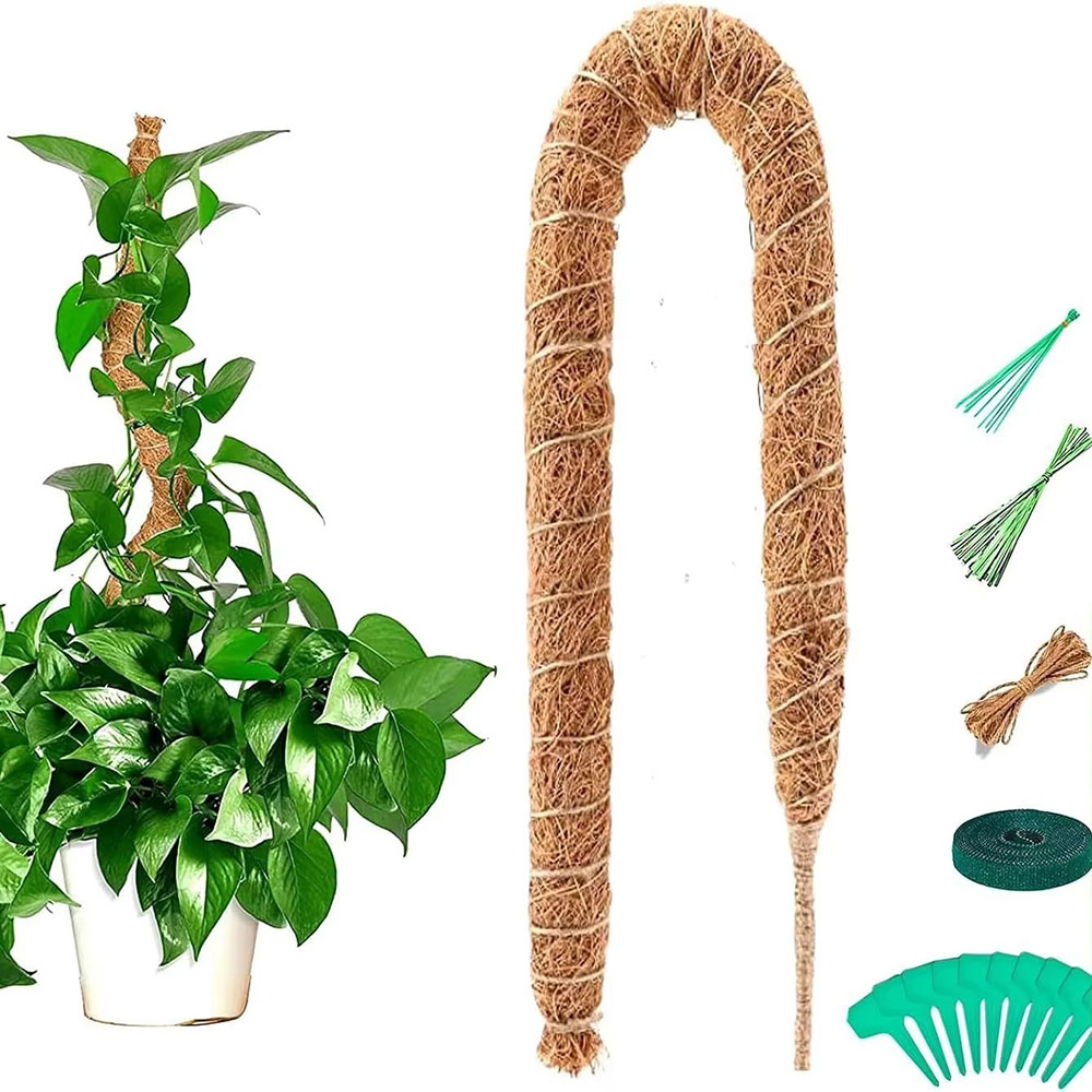 Pothos - Опора для растений из кокосового волокна,
