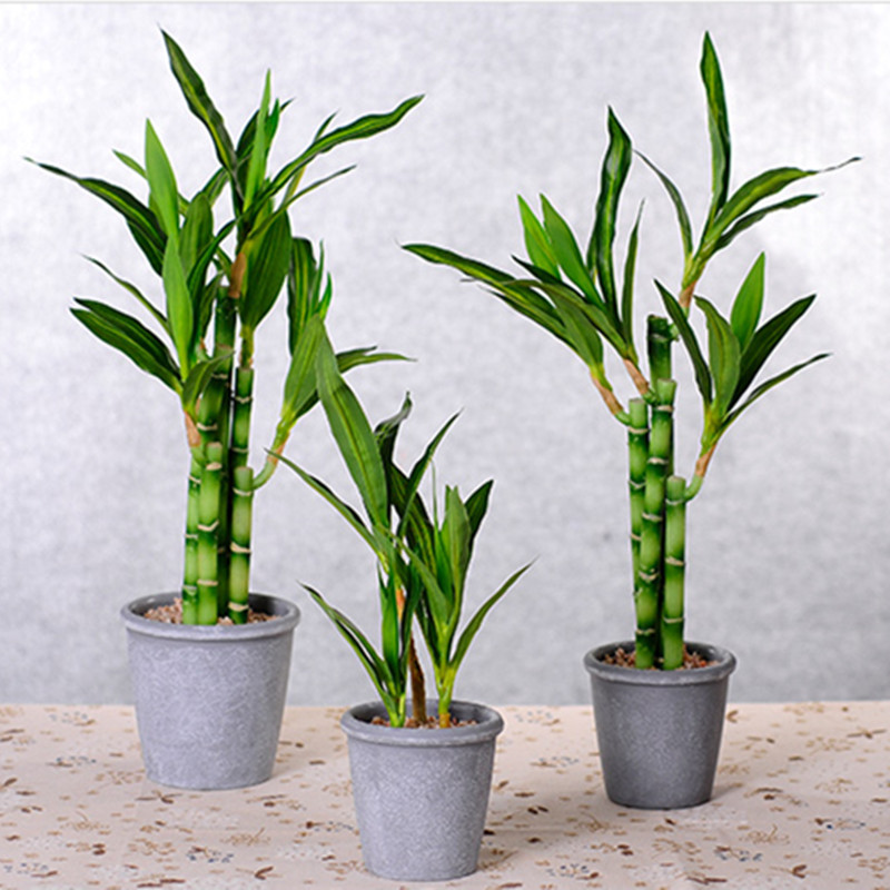 Новый искусственный суккулент  – обзор и цена Succulent Set