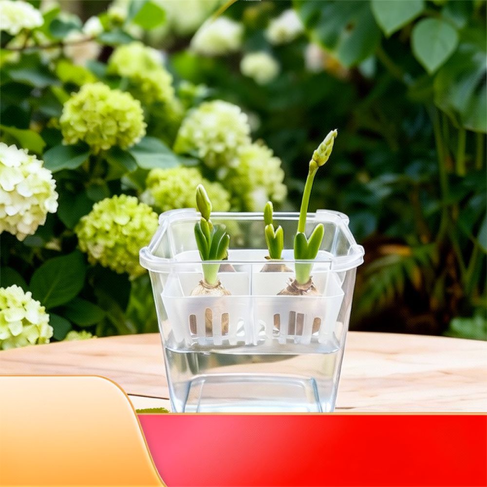 Гидропонная ваза для тюльпанов – обзор и цена Indoor Plants