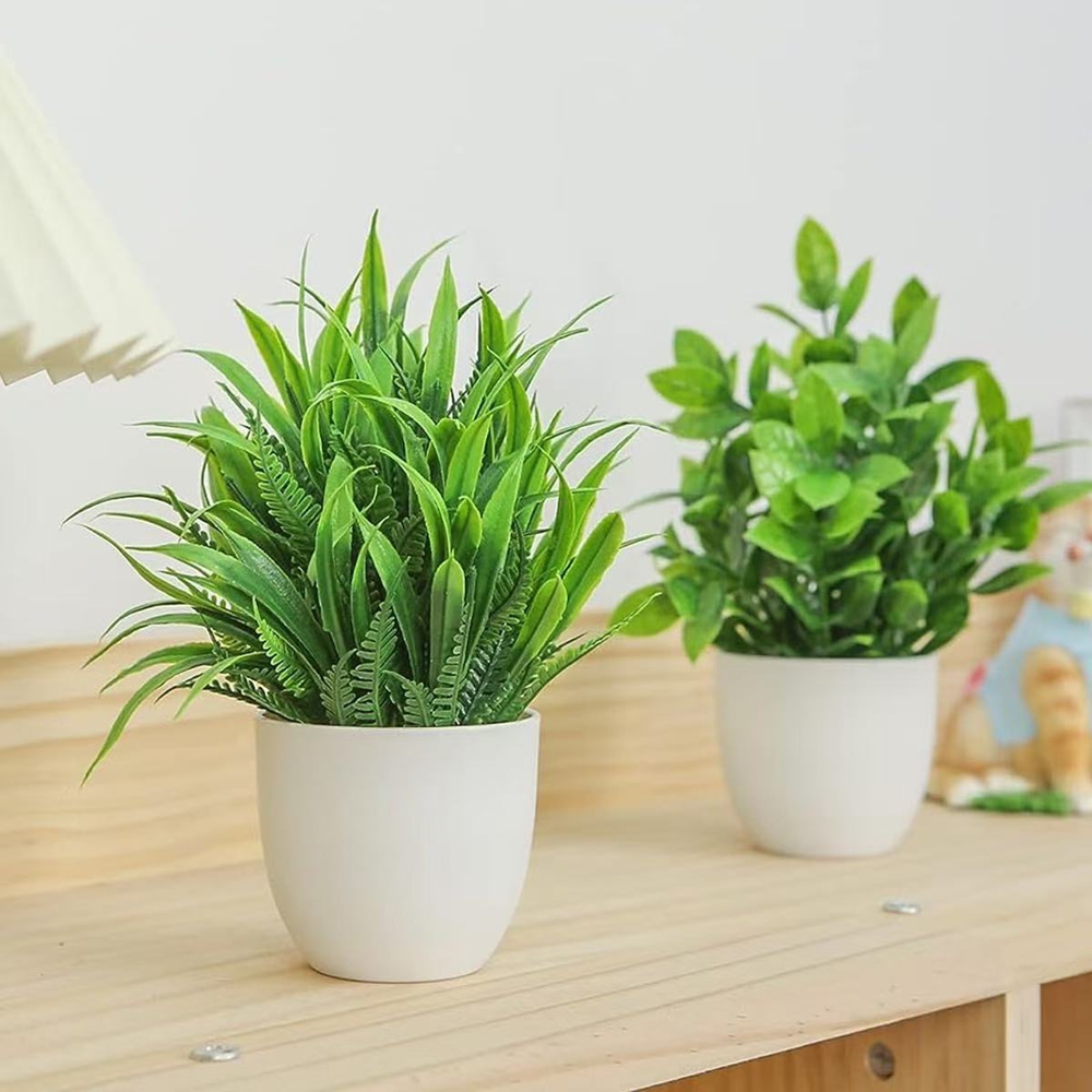 Набор из 4 миниатюрных искусст – обзор и цена Snake Plant