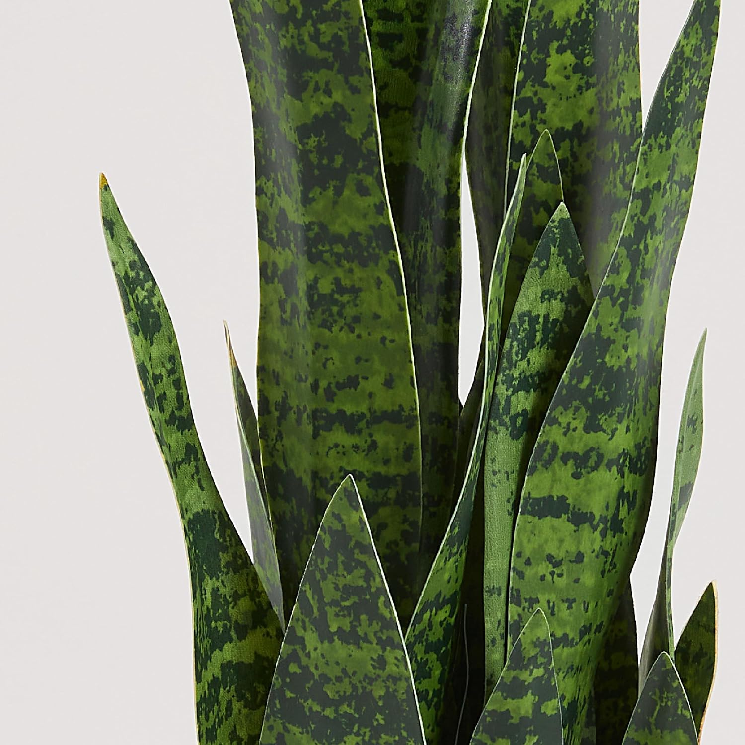 Искусственная змеевидная расте – обзор и цена Snake Plant