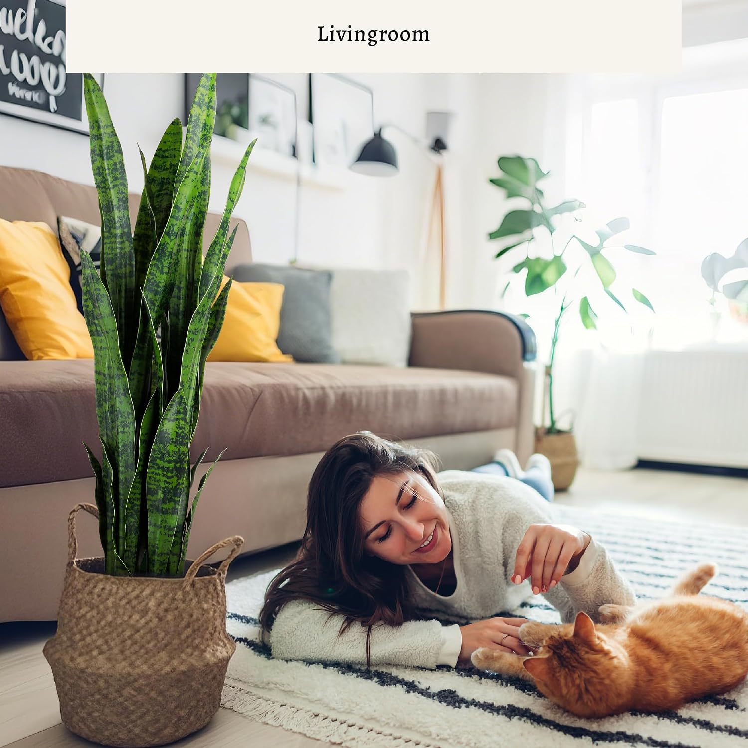 Искусственная змеевидная расте – обзор и цена Snake Plant