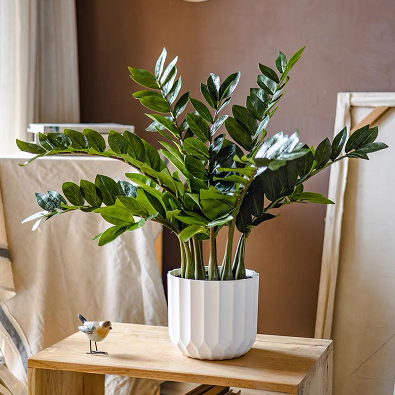 Тропические большие искусствен – обзор и цена Snake Plant