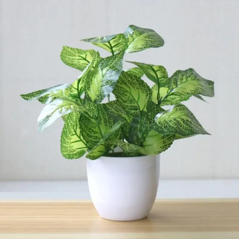 Искусственные растения, бонсай – обзор и цена Snake Plant