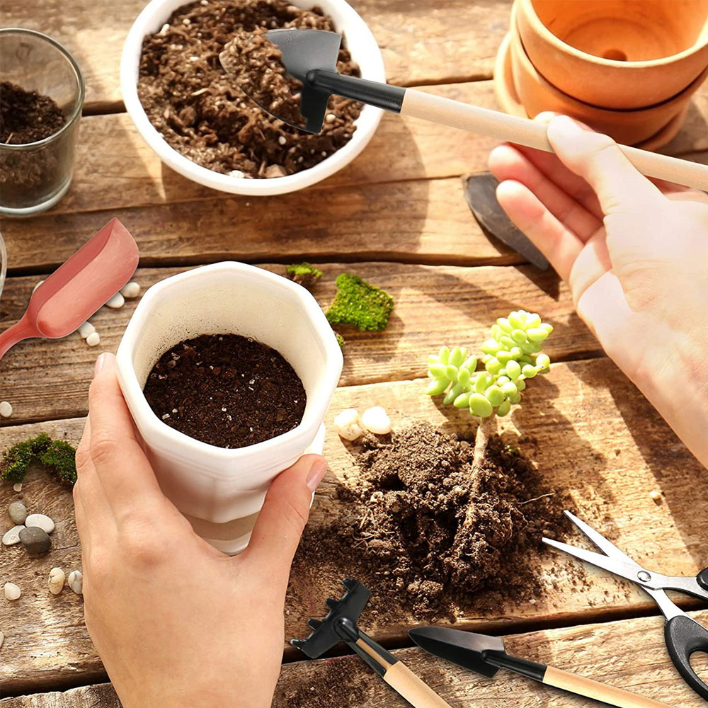 Инструменты для суккулентов, м – обзор и цена Succulent Set